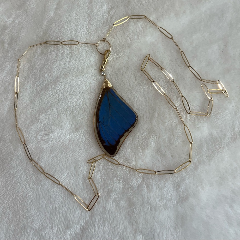 Taylor And Tessier Morphos Blue Butterfly Wing Necklace - Picture 5 of 5